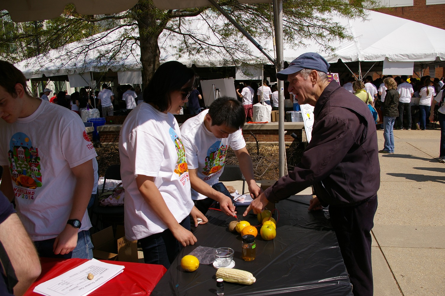 Yiqing and Christina demo fruit battery